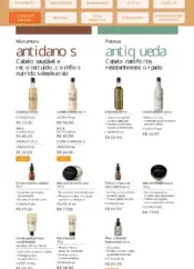 Revista Natura ciclo 10 2024 133
