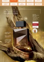 Revista Natura ciclo 10 2024 40