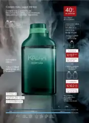 Revista Natura ciclo 12 2024 38