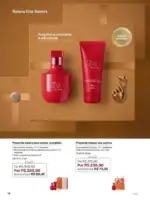 Revista Natura ciclo 8 2025 15