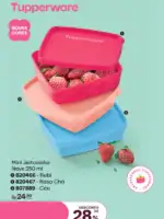 Vitrine 5 Tupperware 2025