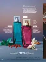 Revista Avon ciclo 10 2025 101