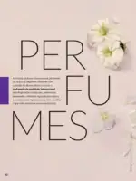 Revista Avon ciclo 12 2025 83