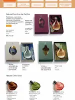 Revista Natura ciclo 12 2025 17