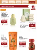 Revista Natura ciclo 12 2025 220