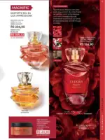 Revista Eudora ciclo 10 2025 36