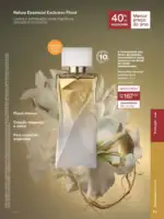 Revista Natura ciclo 13 2025 22