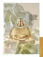 Revista Natura ciclo 14 2025 42
