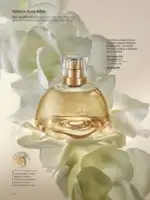Revista Natura ciclo 14 2026 30