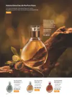 Revista Natura ciclo 14 2026 40