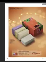 Revista Natura ciclo 16 2026 31