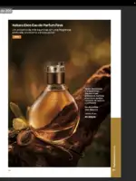 Revista Natura ciclo 16 2026 56